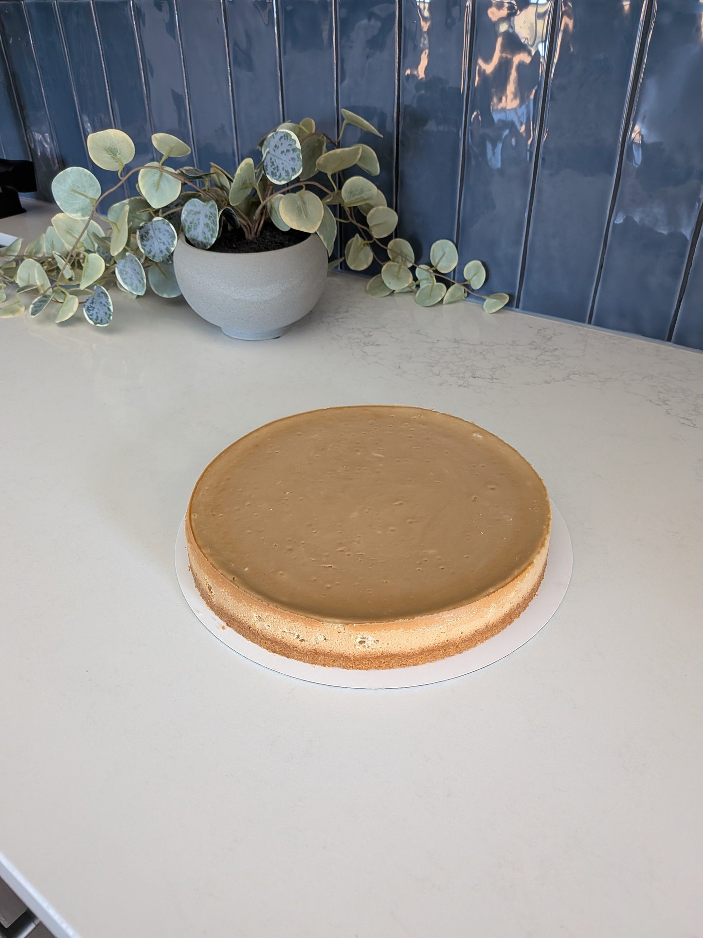 Espresso Cheesecake 9"
