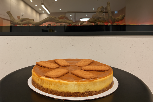 Lotus Biscoff Cheesecake 9"